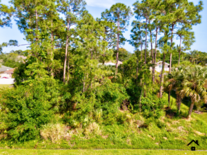 Read more about the article SOLD-Buildable Vacant Lot in Port St Lucie