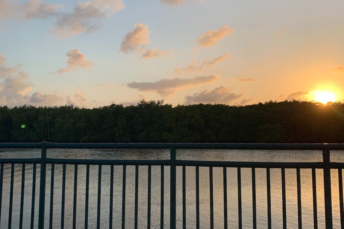 You are currently viewing When Every House Starts to Blur: A Smart Strategy for Touring Homes in Port St. Lucie