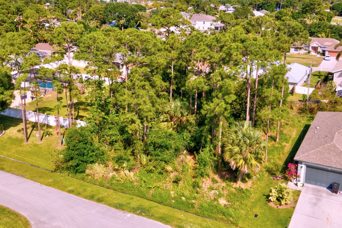 Wooded vacant residential lot in Port St. Lucie with nearby homes.