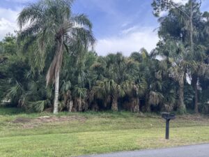 Read more about the article Vacant Land for Sale in Port St Lucie, FL | Residential Infill Lot