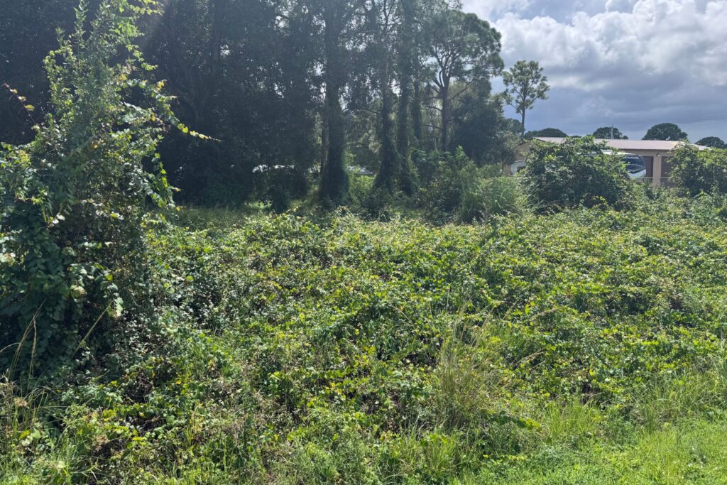 Vacant residential lot in Lakewood Park Fort Pierce