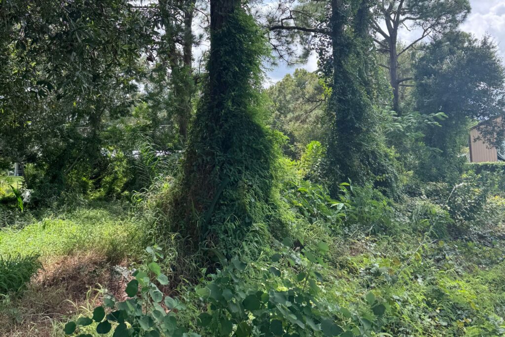 View across residential homesite in Lakewood Park